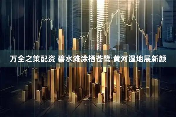 万全之策配资 碧水滩涂栖苍鹭 黄河湿地展新颜