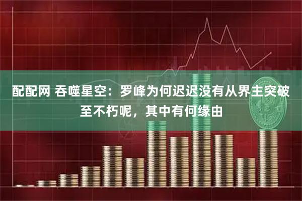 配配网 吞噬星空：罗峰为何迟迟没有从界主突破至不朽呢，其中有何缘由